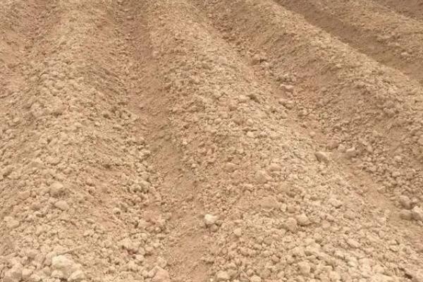 粘玉米的种植方法,通常都是用穴播的方式播种