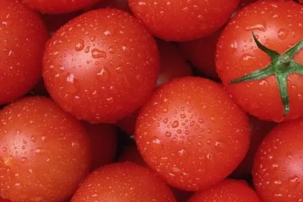 3月适合种什么菜，萝卜、花菜和茄子等都适合3月种