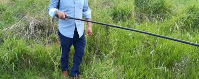 百草枯与敌草快的特点