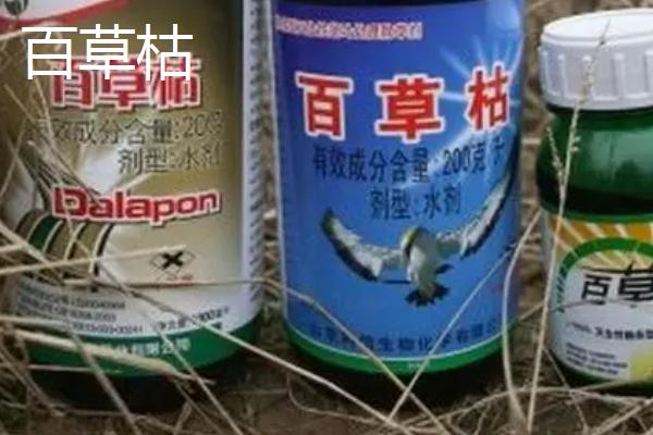 百草枯与敌草快的特点，百草枯与土壤接触后会钝化、敌草快与土壤接触后会快速失活