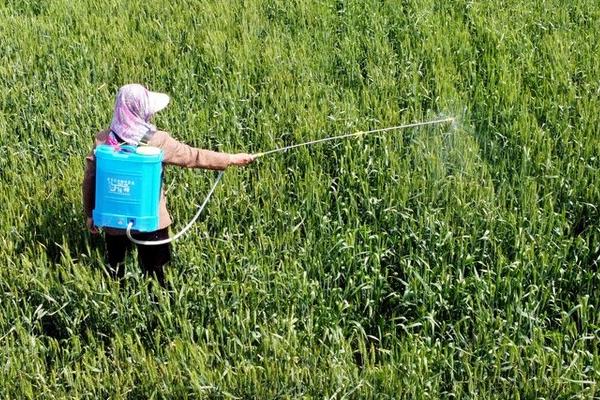 百草枯与敌草快的特点，百草枯与土壤接触后会钝化、敌草快与土壤接触后会快速失活