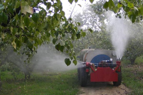 冬季果树管理方法，在休眠期要做好四项