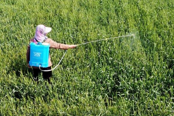 苏云金杆菌适合对哪些作物使用，大豆、花生、多种水果和蔬菜均可使用