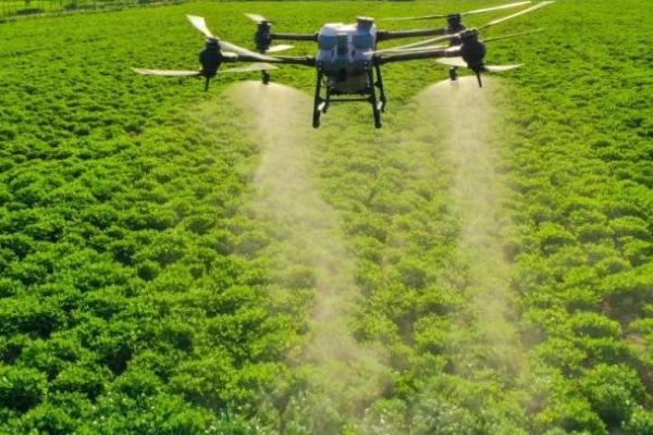 苏云金杆菌适合对哪些作物使用，大豆、花生、多种水果和蔬菜均可使用