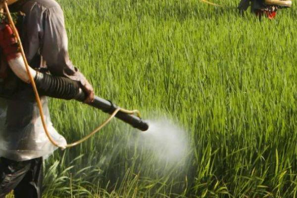 苏云金杆菌适合对哪些作物使用，大豆、花生、多种水果和蔬菜均可使用