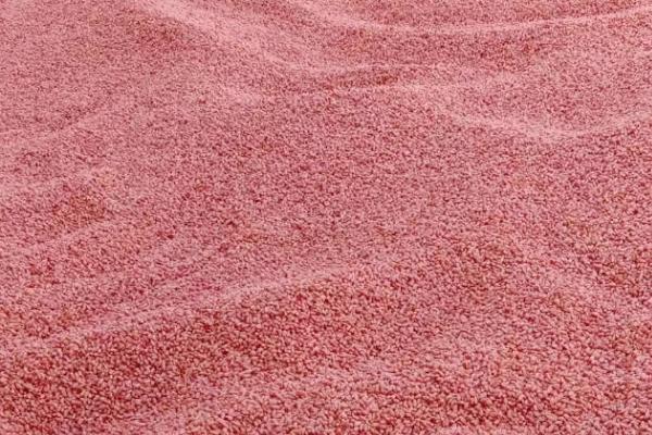 秋播期怎么防治地下害虫，可用辛硫磷颗粒剂拌土撒施