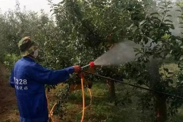 有哪些果园除草剂，包括果农乐、禾草盖、春多多等药物