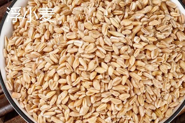 小麦与浮小麦有什么区别,小麦较饱满、浮小麦呈干瘪状