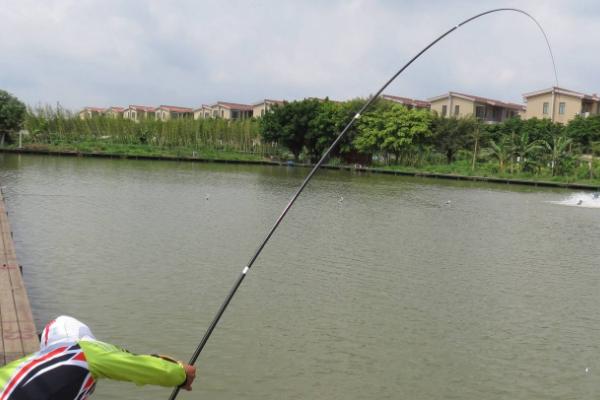 什么叫切线，指钓鱼过程中鱼线突然断掉的情况