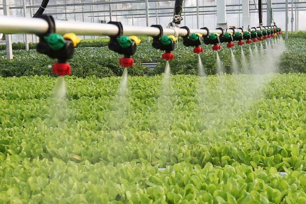 冬季农作物水肥管理，要减少施肥和浇水