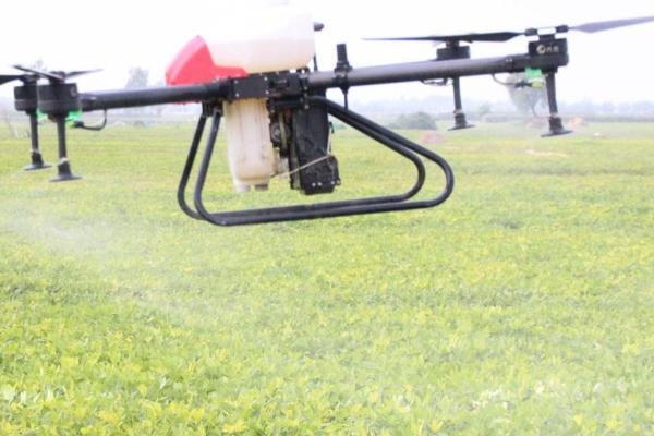 五氯硝基苯的防治对象,可防治蔬菜的苗期病害及土壤传染的病害