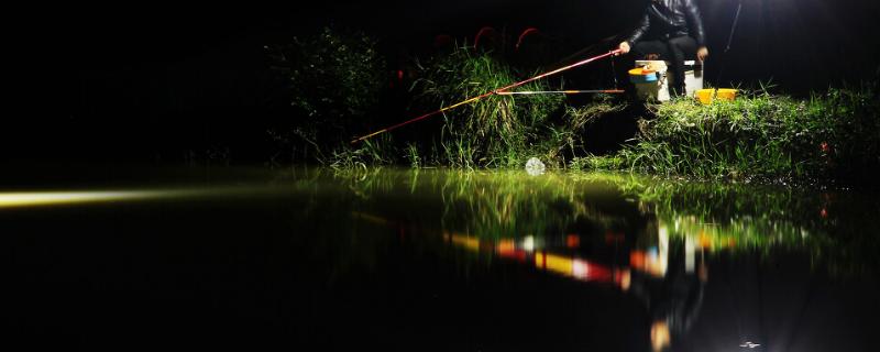 6月份夜钓为什么老是没口