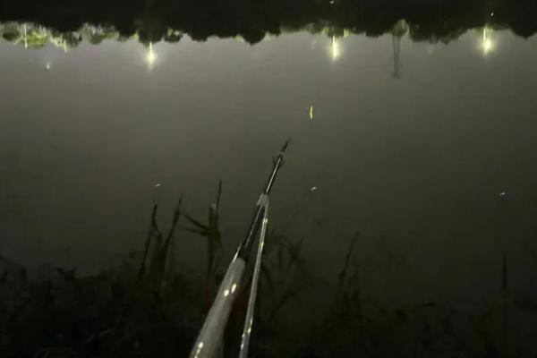 6月份夜钓为什么老是没口,气压太低或者噪音太大均会导致