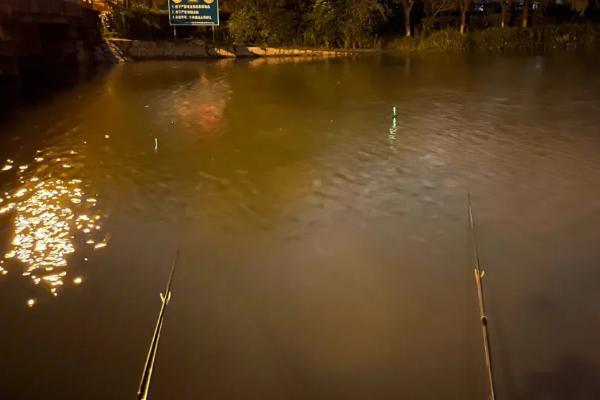 6月份夜钓为什么老是没口,气压太低或者噪音太大均会导致