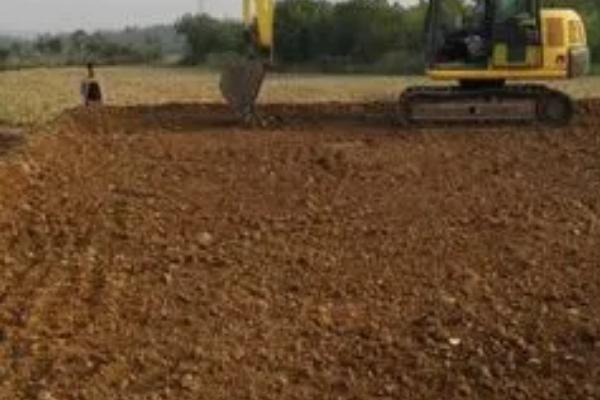 冬瓜的种植管理方法,播种之前需浸种