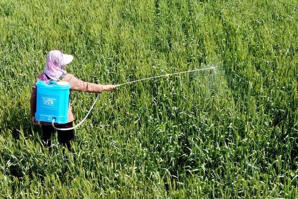 苯醚甲环唑怎么使用,一般可兑水喷雾