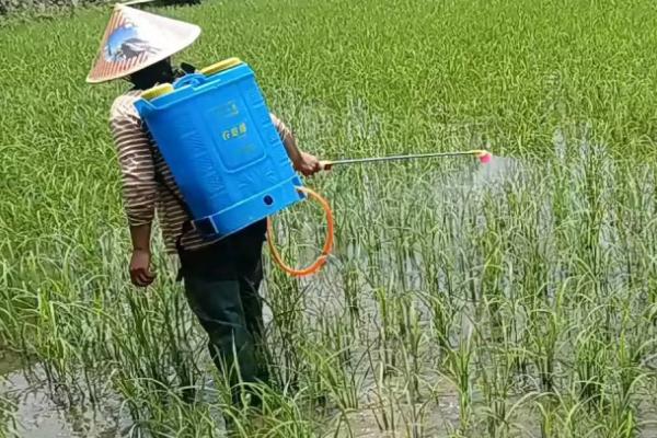 苯醚甲环唑怎么使用,一般可兑水喷雾