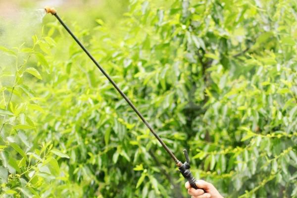 苯醚甲环唑怎么使用,一般可兑水喷雾