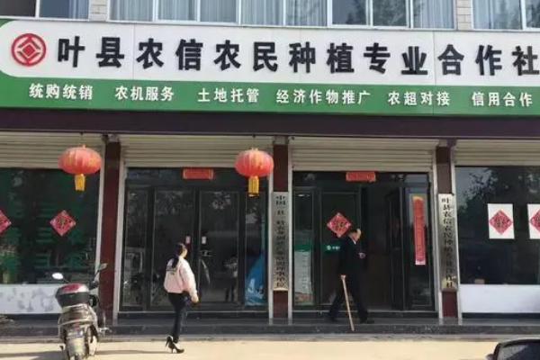 合作社的经营范围有哪些,不同分类下合作社经营范围不同