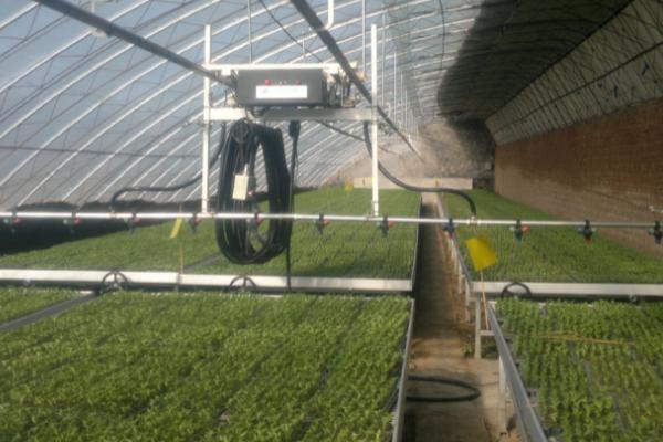 伊拉克雨育农业的类型，靠纯天然的降水为水源来进行农业生产