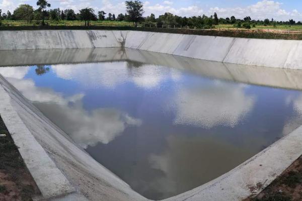 小龙虾如何养殖,放虾种之前要进行肥水处理