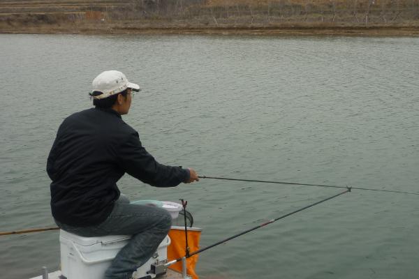 钓鳊鱼要用哪种玉米，嫩玉米、发酵玉米是适宜选择