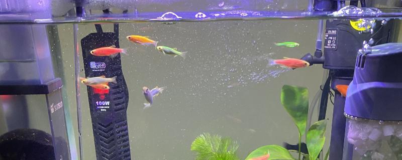 鱼缸是否要除油膜