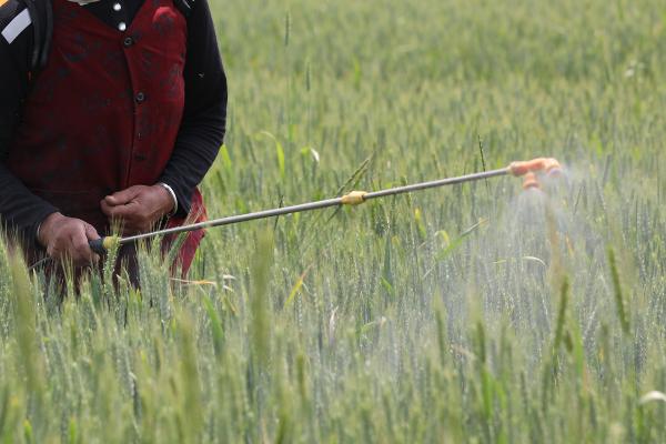 噻吩磺隆的使用范围，适用于小麦、大麦、玉米等禾谷类作物田