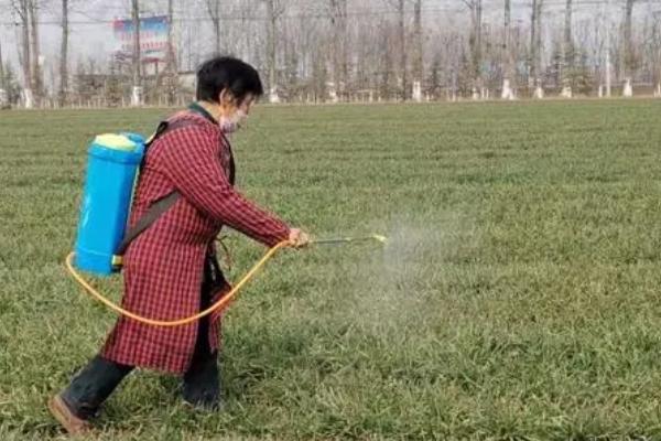 噻吩磺隆的使用范围，适用于小麦、大麦、玉米等禾谷类作物田