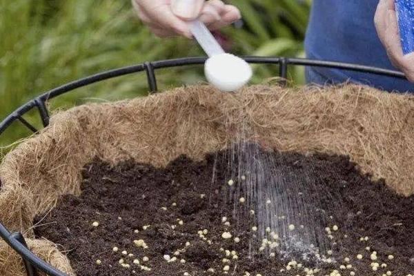 花卉如何施肥，家庭养花不宜常用化肥