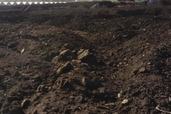 花卉如何施肥，家庭养花不宜常用化肥