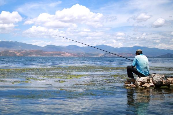 鲤鱼夏季喜欢吃哪种饵料，对带有香甜味的谷物更感兴趣
