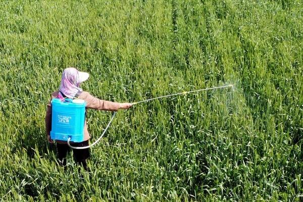 甲嘧磺隆怎么使用，兑水后进行喷雾、或拌土撒施