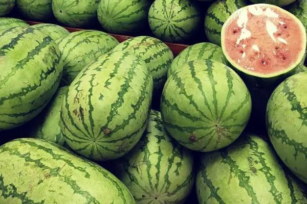 如何判断西瓜成熟度，可以根据发育天数、果实外观和卷须特征判断