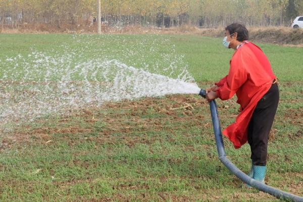 如何掌握好肥料和灌水，掌握好能稳提果蔬耐贮性