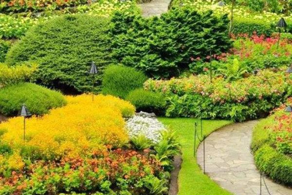 园林绿化工作注意事项，需加强规划设计