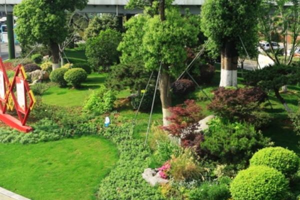 园林绿化工作注意事项，需加强规划设计