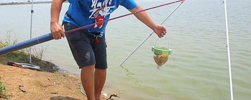 钓鱼怎样打窝效果好