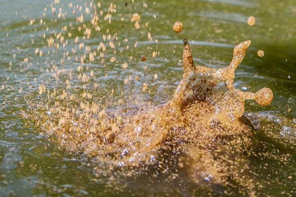 钓鱼怎样打窝效果好,在垂钓开始之前的一两个小时打窝为佳