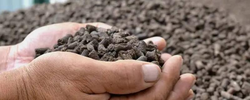 鸡粪是什么肥料