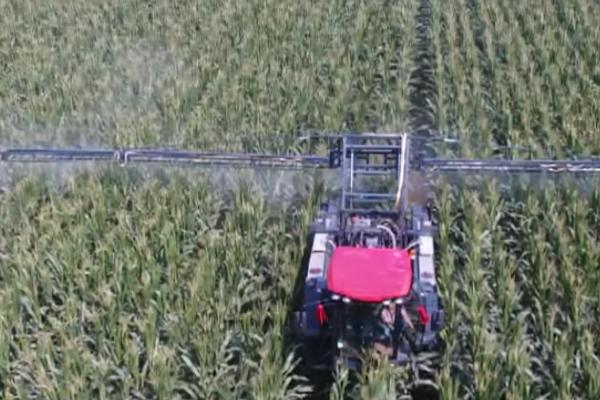 玉米病虫害的防治方法,不同病虫害的防治方法不同