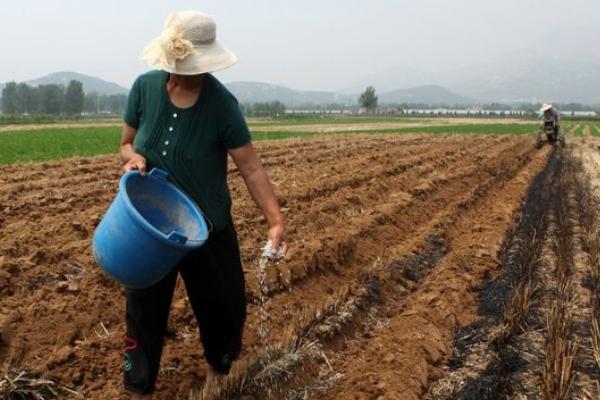 化肥利用率低的解决办法,应按照产量目标平衡施肥