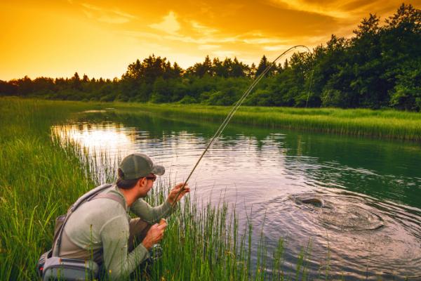 草鱼春季开口时间，3月份即可开口