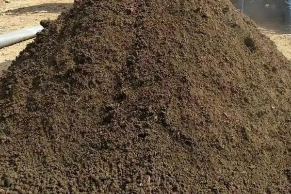 兔子粪便怎么发酵,将兔子粪便收集至堆肥堆中发酵