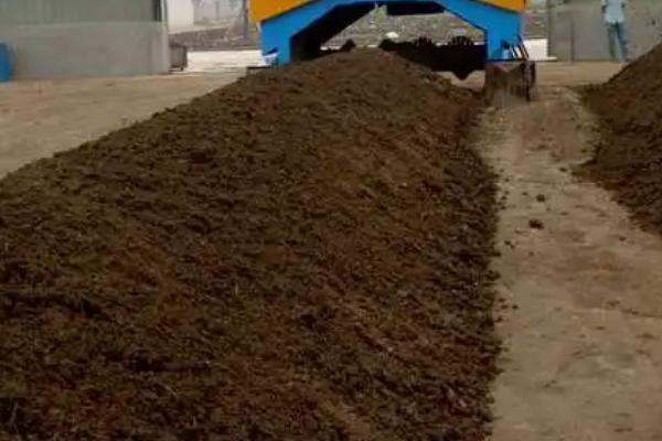 兔子粪便怎么发酵,将兔子粪便收集至堆肥堆中发酵