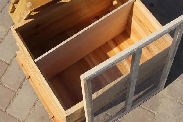 四季养蜂口诀，立夏洋槐主蜜源、二茬洋槐紫荆花