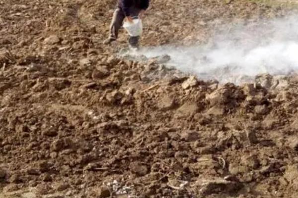 怎么改良酸性土壤,使用农家肥、使用石灰可以起到改良效果