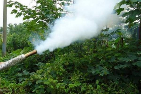 蔬菜植物生长调节剂使用注意事项,注意应用范围和使用方式