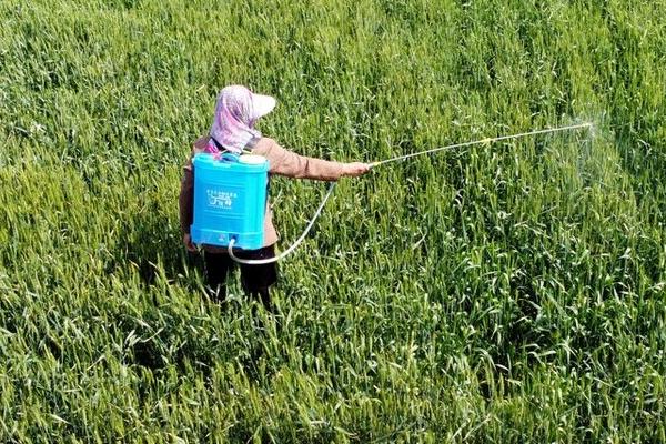 萘乙酸生根剂的使用方法,包括喷施、浸种、浸根等方法