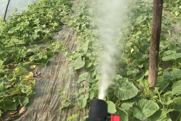 萘乙酸生根剂的使用方法,包括喷施、浸种、浸根等方法